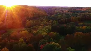 Fall Foliage in Ohio - October 2020