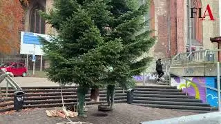 Juletr&aelig;et p&aring; S&oslash;ndertorv