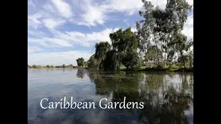 Caribbean Gardens