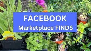 Look What I Found on FACEBOOK Marketplace| Budget-Friendly
