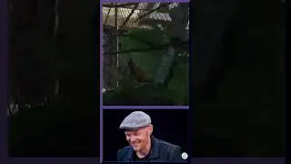 3-way Deathmatch with Recurve Bows - Miscreated Escapades