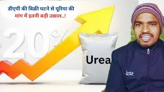 The Decline In DAP Sales Has Led To Such a Huge Surge In Urea Demand..!