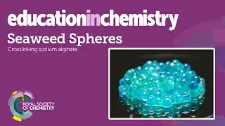 Seaweed spheres &ndash; cross-linking sodium alginate gels