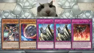THIS DINOMORPHIA PLAYER OPENING HAND IS CRAZY! YUGIOH MASTER DUEL