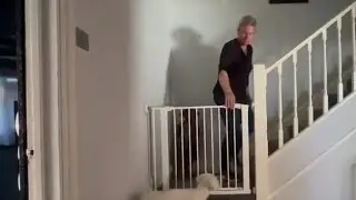 Cleaver dog escapes through stair railings to be with mom || WooGlobe