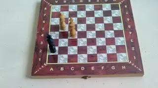 Chess Puzzle number 58 for beginners only mate in 2 white move first