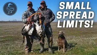 Specklebelly Goose Hunting With Small Spread! | INCREDIBLE HUNT!