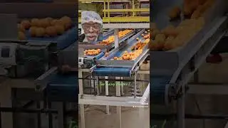 Halo&rsquo;s Plant Tour.
