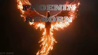 PHOENIX REBORN -ROC (Official Audio)