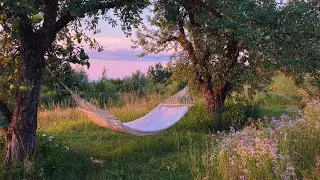 a quiet playlist for quiet moments 🍀 (a quiet life playlist)