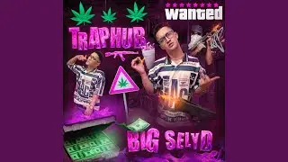 TrapHub