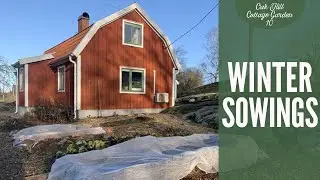 Winter sowings - Vlog 10 from Oak Hill Cottage Garden
