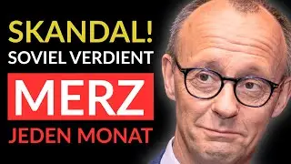 💥ENTH&Uuml;LLT! SO VIEL VERDIENT MERZ - AfD DECKT AUF💥