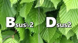 Bsus b2 to Dsus2 Backing Track