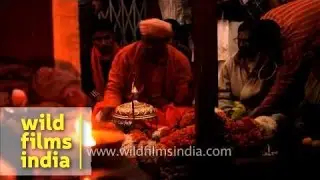 Phallus worship: Priest worships Shiv Linga at Indian temple