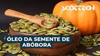 COMO EXTRAIR ÓLEO DA SEMENTE DE ABÓBORA | SCOTT TECH