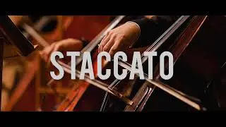 Staccato strings patch | Mainstage 3 | @selvarajkeysofficial