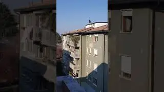 # GRATID&Atilde;O /CODIV 19, AS DUAS FACES DE UMA MESMA MOEDA.