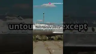 what's your theory, comment down.??💬 #youtubeshorts #sciencefacts #airport #crash #timelapse