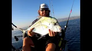 African Pompano / Threadfin Trevally caught on the Assassin Spin Master while jigging in Fujeriah