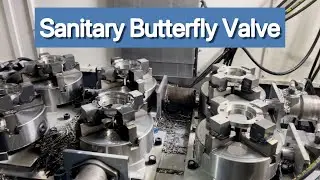 Sanitary Butterfly Valve