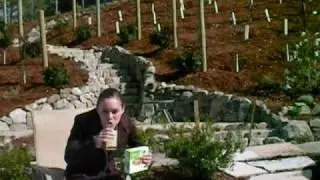 Balance Bars