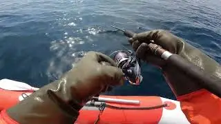 Huge catch with just two types of jigs!
