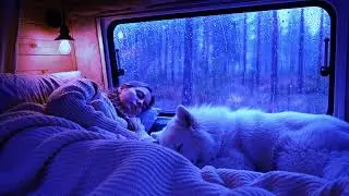 Rain Sounds at Night on Window | Thunderstorm Ambience