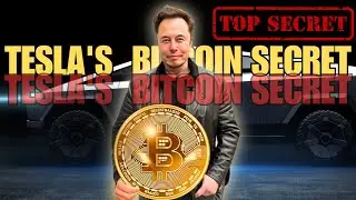Tesla&rsquo;s Secret Bitcoin Truth (2025) | What Every Investor Must Know