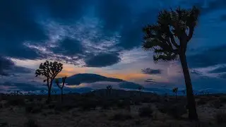 A Month in Joshua Tree - Meditation Music, Mindfulness, Stress Relief, Calm, Relaxation, Deep Sleep