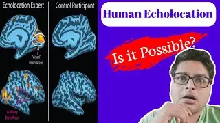 Human Echolocation! How Blind People Watch &ndash; Everything you need to know || TechTalks Episode 5