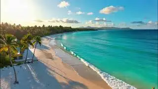🔊 Reggae Hip Hop Mix - Urban Island Fusion for Street Culture