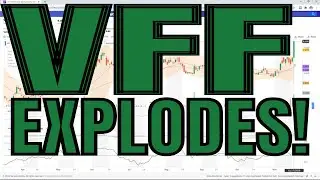 VFF STOCK EXPLODES! (11/17/2020)