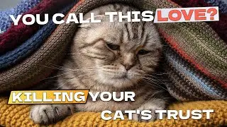 10 Unintentional Crimes That Make Your Cat Think You Don&rsquo;t Love Them Anymore