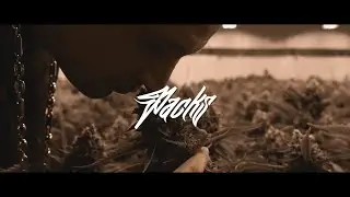 JAILL ft. LX - PACKS (prod. by CLASSIC)