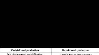 Difference between Varietal Seed production and Hybrid Seed production