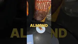Is the $300 Almond Cow Worth It for Making Almond Milk? #almondcow #almondmilk #reviews