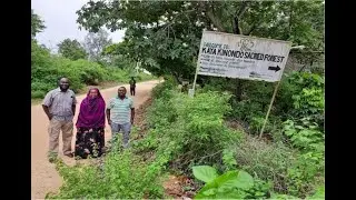 The Mijikenda of Kwale County in Kenya #1 Kaya MTSWAKARA Walk