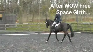 @WOWsaddles Pure Imagination Before and After the WOW Free Space Girth