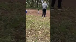 injured kangaroo pt 2
