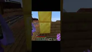 Major Award - LyfCraft SMP (Minecraft 1.16.5) #Shorts