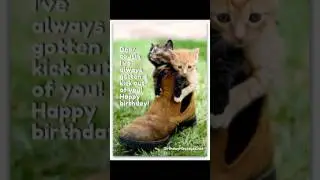 Happy Birthday Wishes Song for Best Friend