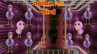بنينا opiLa bird