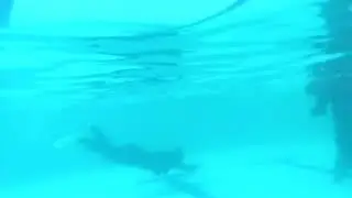 Learning duck dive. Thanks alot to Teh Ani & Bubun