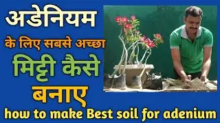 how to make Best soil for adenium