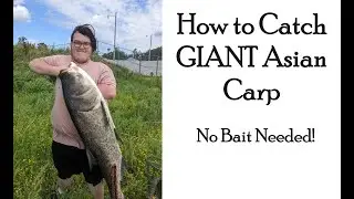 Snagging Monster Asian Carp at Reelfoot Spillway
