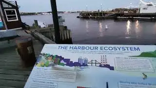 Halifax Harbourwalk - HMSC Sackville - Nova Scotia