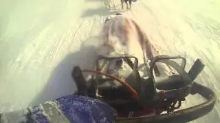 Dog sledding down Kebnekaise 2014