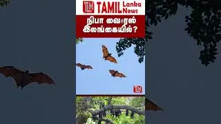 #srilanka tamil news today#tamillankanews