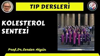 Kolesterol Sentezi, Prof.Dr.Serdar Akgün, Tıp Dersleri, Serdar Akgün Tıp Videoları
